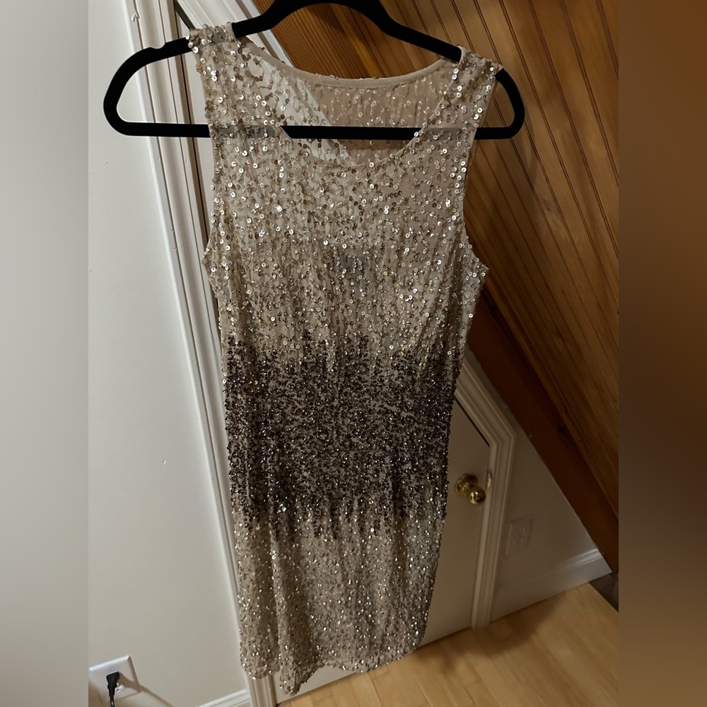 Adriana Papelle Sequin Dress